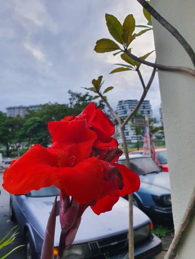 Photo of Mr. White Laundry Service - Petaling Jaya, Selangor, Malaysia