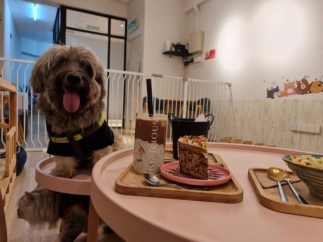 Photo of Ohana Paw Food - Bayan Lepas, Penang, Malaysia