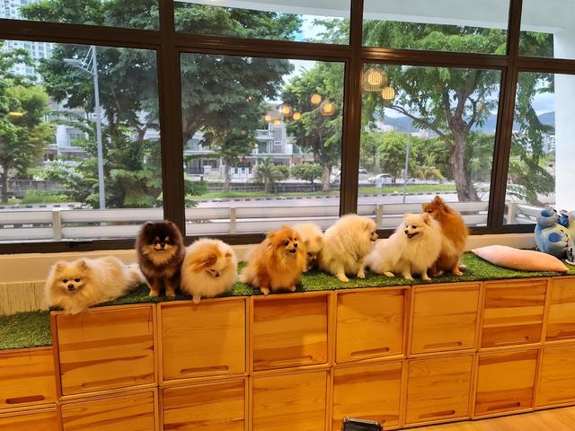 Photo of Ohana Paw Food - Bayan Lepas, Penang, Malaysia