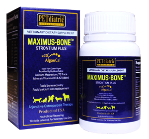 Photo of Peng Aun Veterinary Clinic - Bayan Lepas, Penang, Malaysia