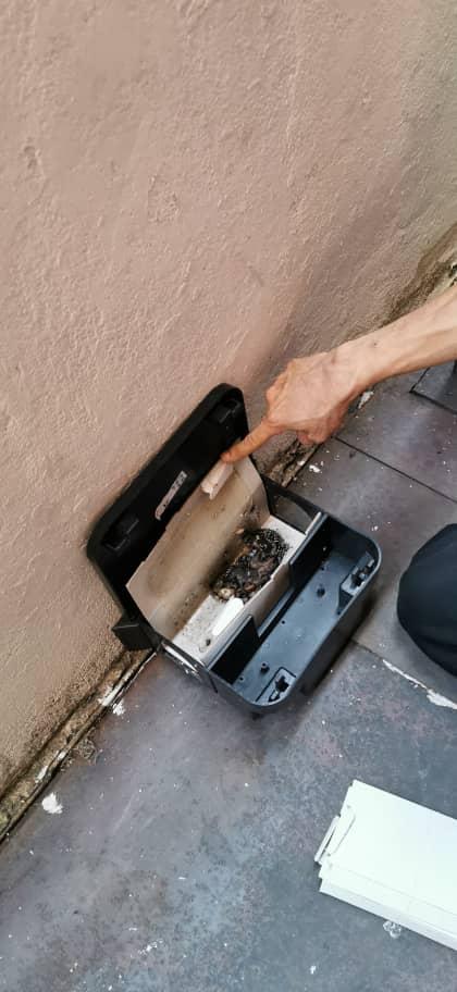 Photo of PERFECTION PEST MANAGEMENT SDN BHD (Selangor & KL Branch) - Kuala Lumpur, Kuala lumpur, Malaysia