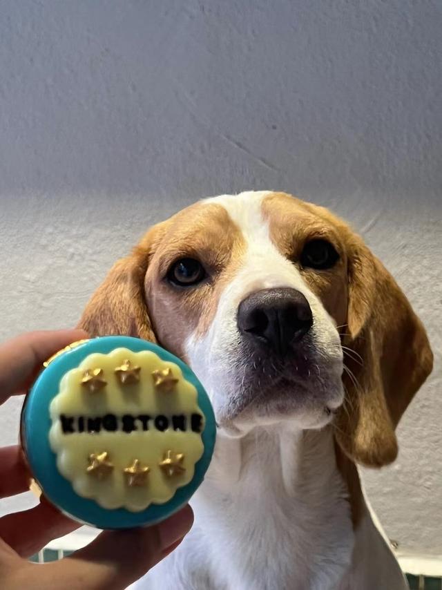 Photo of Pet Amazon宠物亚马逊 - Ayer Itam, Penang, Malaysia