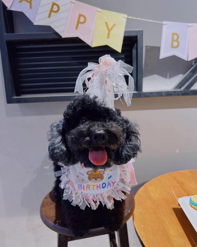 Photo of Pet Amazon宠物亚马逊 - Ayer Itam, Penang, Malaysia