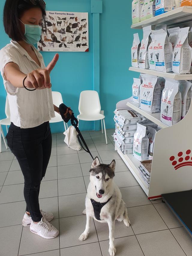 Photo of Pet Haven Veterinary Clinic - Kuala Lumpur, Kuala lumpur, Malaysia