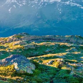 Photo of Pet Lovers Centre - Sunway Velocity Mall - Kuala Lumpur, Kuala lumpur, Malaysia