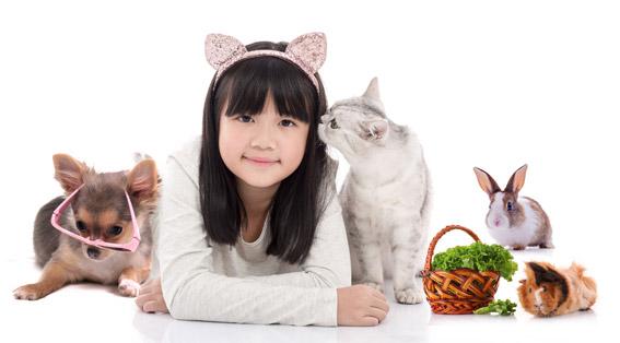 Photo of Pet Lovers Centre - Sunway Velocity Mall - Kuala Lumpur, Kuala lumpur, Malaysia