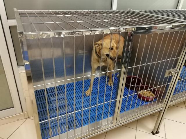 Photo of Petcare Enterprise Sdn. Bhd. - Kuala Lumpur, Kuala lumpur, Malaysia