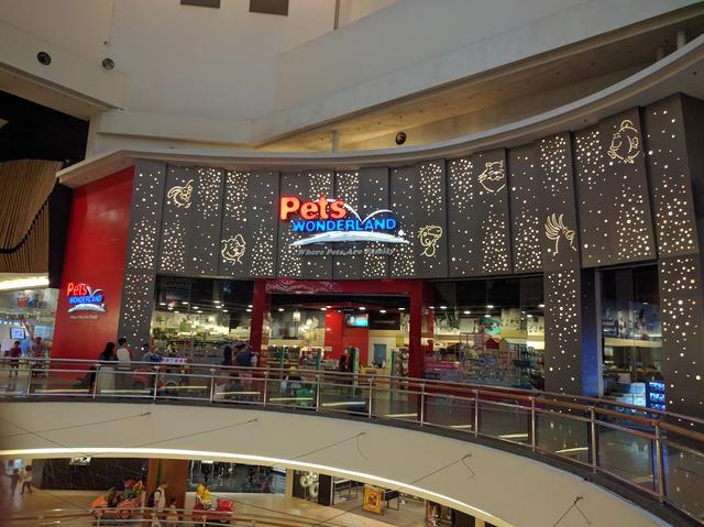 Photo of Pets Wonderland @ Mid Valley, Kuala Lumpur - Kuala Lumpur, Kuala lumpur, Malaysia