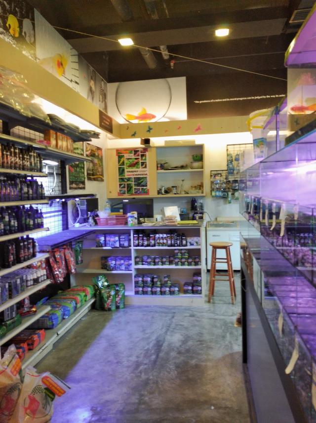 Photo of Pets Wonderland @ Mid Valley, Kuala Lumpur - Kuala Lumpur, Kuala lumpur, Malaysia