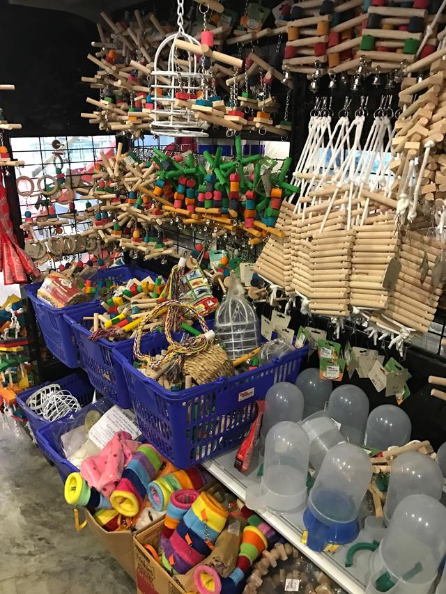 Photo of Pets Wonderland @ Mid Valley, Kuala Lumpur - Kuala Lumpur, Kuala lumpur, Malaysia