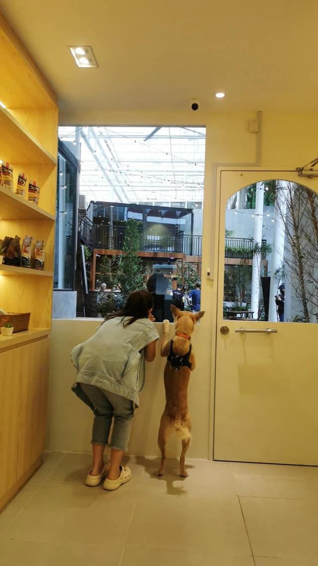 Photo of Poozie n' Beach @ COMMONS KL - Kuala Lumpur, Kuala lumpur, Malaysia