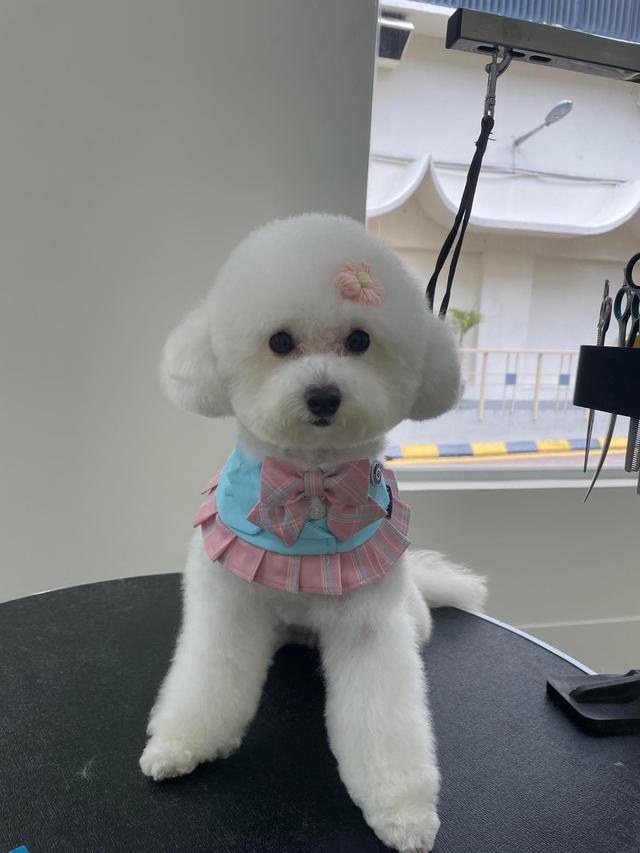 Photo of Poozie n' Beach @ COMMONS KL - Kuala Lumpur, Kuala lumpur, Malaysia