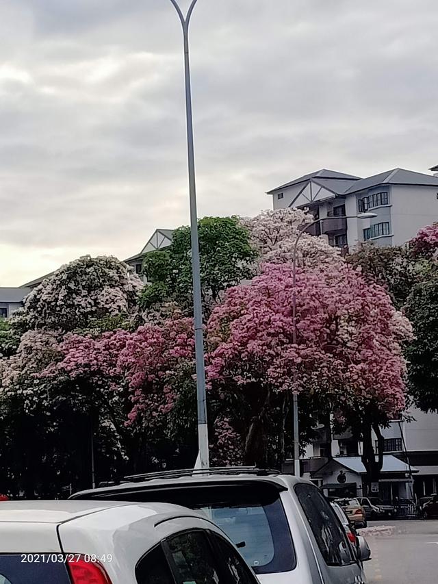 Photo of POWER GYM FITNESS CENTRE - Kuala Lumpur, Kuala lumpur, Malaysia