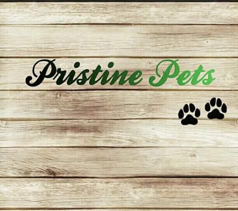 Background Blur Cover