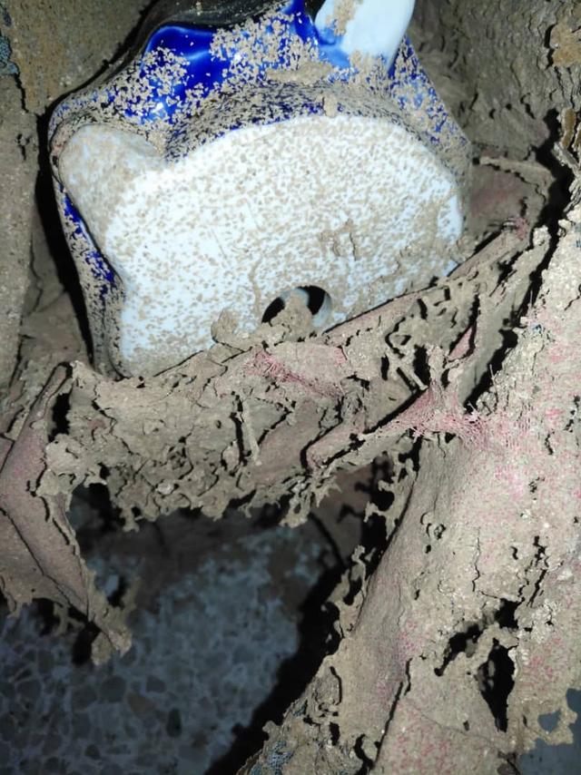 Photo of Proactive Pest Solutions - Shah Alam, Selangor, Malaysia