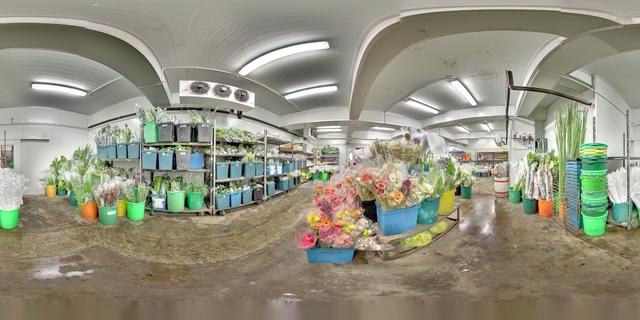 Photo of Pudu Ria Florist Trading Sdn Bhd (Outlet - Pudu) KL Florist - Kuala Lumpur, Kuala lumpur, Malaysia