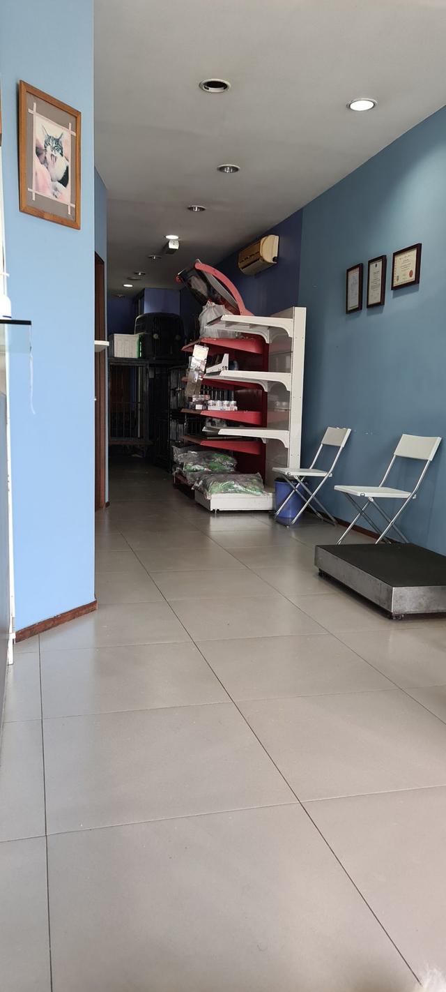 Photo of Rain Animal Centre - Subang Jaya, Selangor, Malaysia