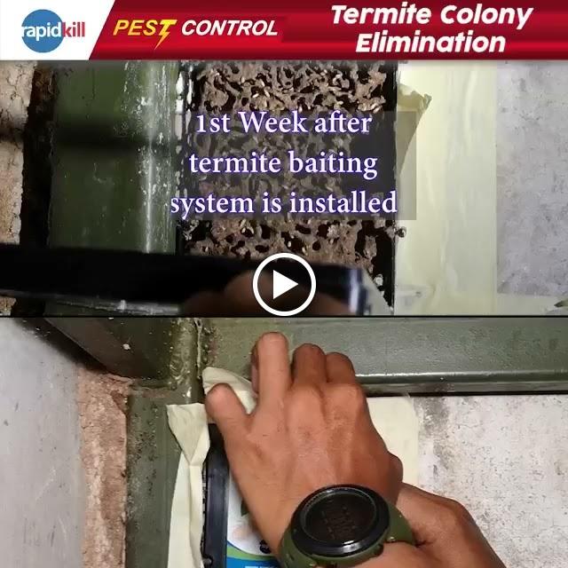 Photo of Rapidkill Pest Control (KL) Sdn Bhd (HQ) - Kuala Lumpur, Kuala lumpur, Malaysia