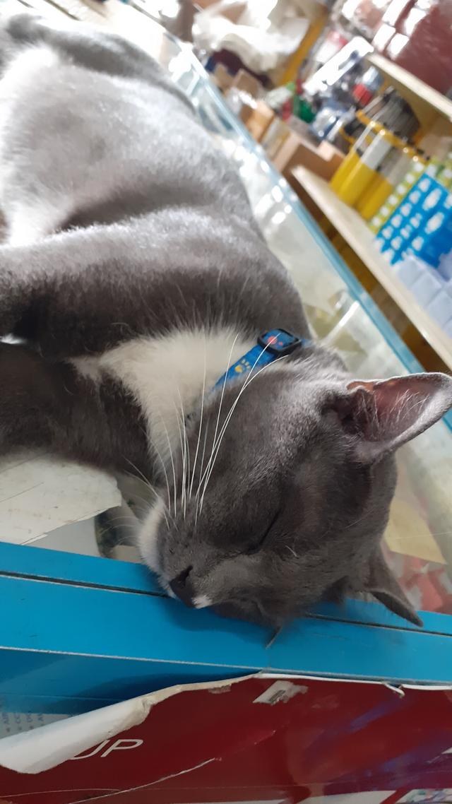 Photo of Refacc Air Cond & Parts Sdn. Bhd. - Shah Alam, Selangor, Malaysia