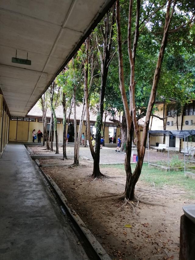 Photo of Sekolah Jenis Kebangsaan (C) Chung Shan 中山学校 - Bayan Lepas, Penang, Malaysia