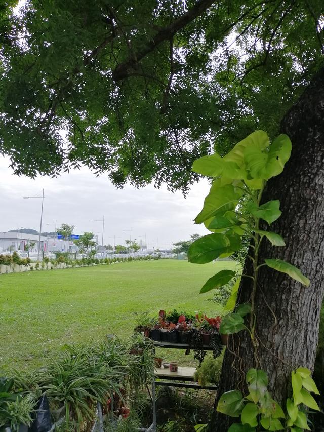Photo of Sekolah Jenis Kebangsaan (C) Chung Shan 中山学校 - Bayan Lepas, Penang, Malaysia