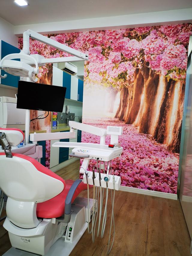 Photo of Smile Arts Dental Clinic Kota Damansara - Petaling Jaya, Selangor, Malaysia