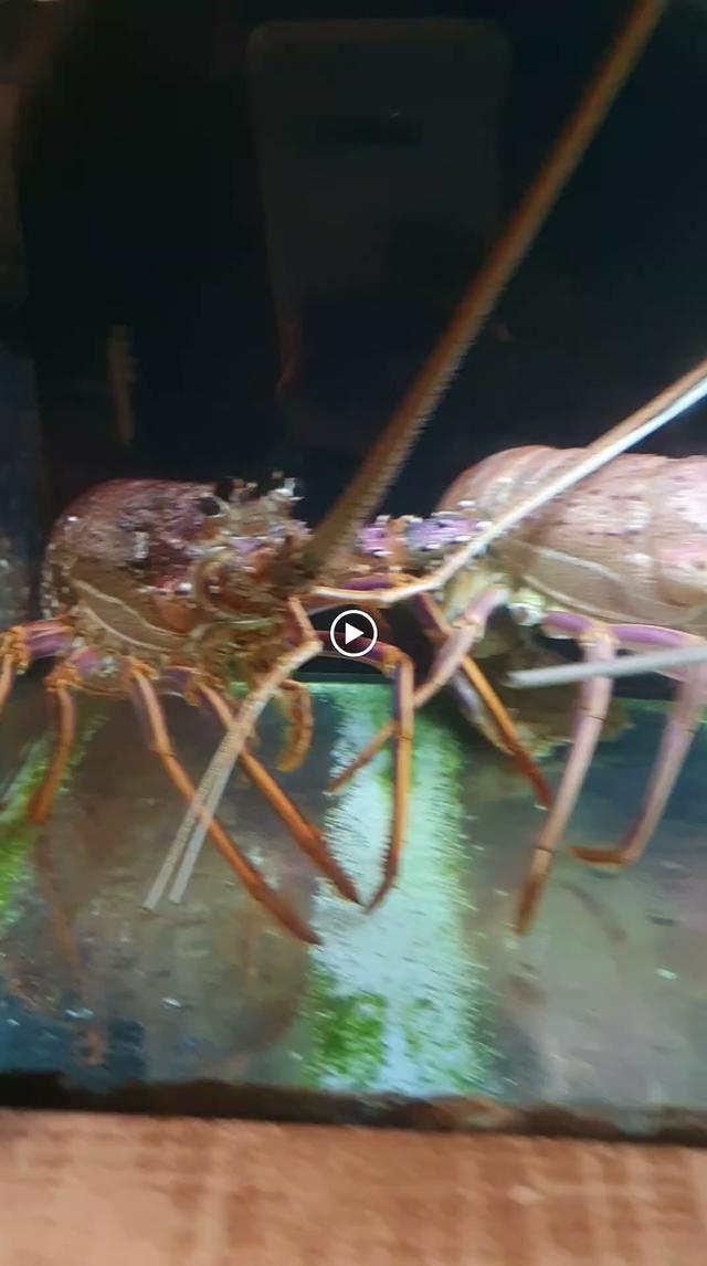 Photo of Southern Rock Seafood - Kuala Lumpur, Kuala lumpur, Malaysia