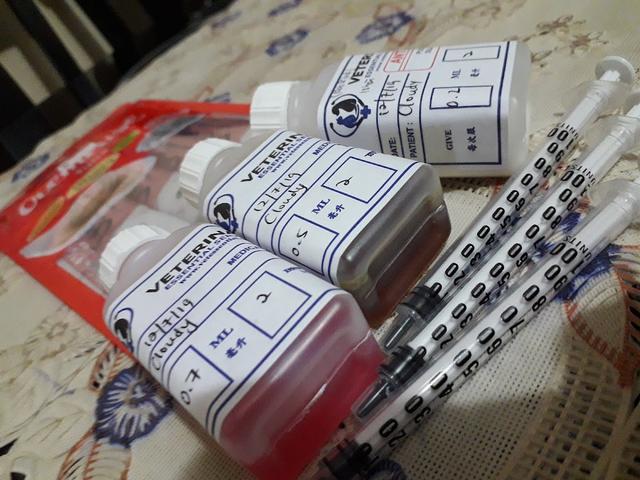 Photo of Sri Petaling Veterinary Clinic and Surgery - Kuala Lumpur, Kuala lumpur, Malaysia