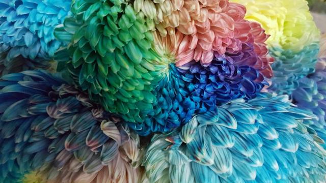 Photo of Summeryen Florist - Petaling Jaya, Selangor, Malaysia