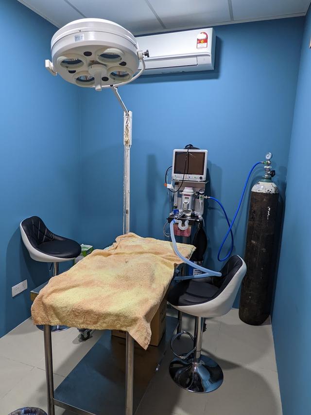 Photo of Taipan Veterinary Clinic & Surgery - Subang Jaya, Selangor, Malaysia