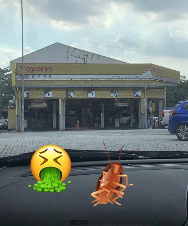 Photo of Tayaria - Knf Tyre & Car Services - Subang Jaya, Selangor, Malaysia