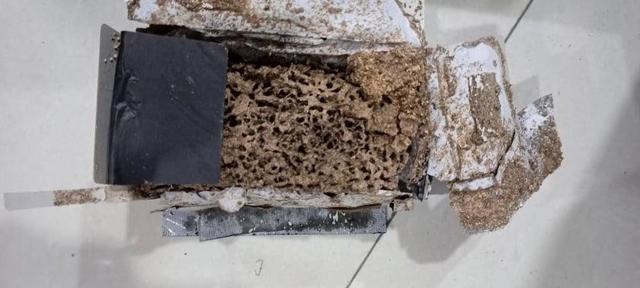 Photo of Termites Alvin Pest Control Penang 槟城灭白蚁专家 - Bayan Lepas, Penang, Malaysia