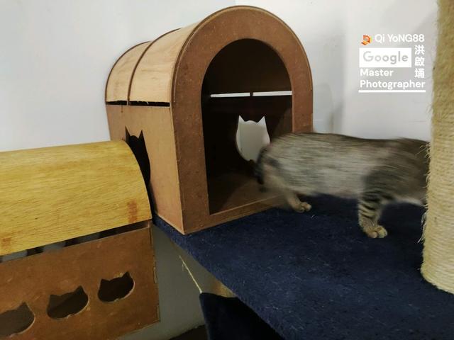 Photo of The Vet Alley Animal Clinic - Subang Jaya, Selangor, Malaysia