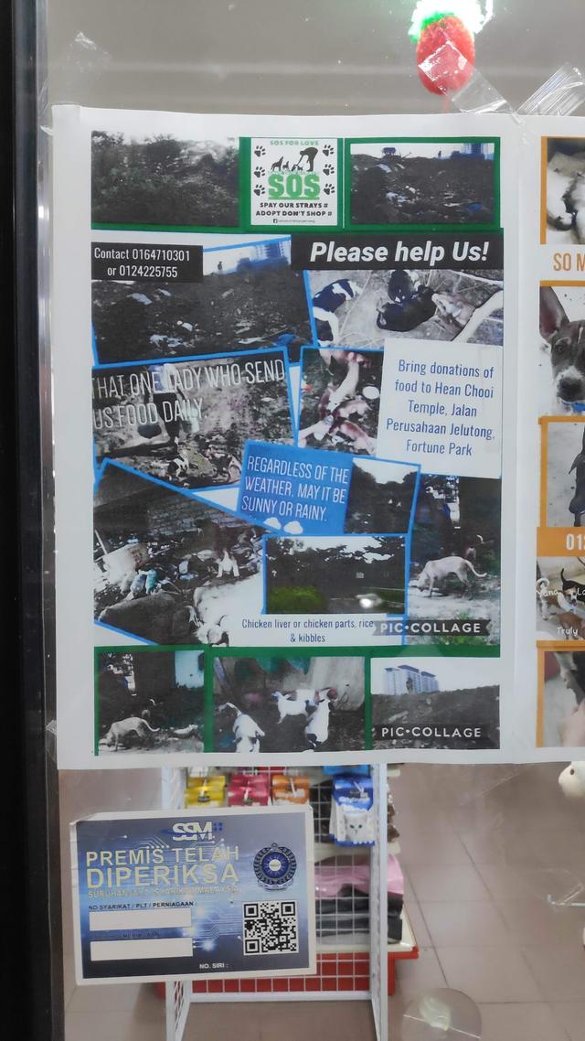 Photo of United Pet Retail - George Town, Penang, Malaysia