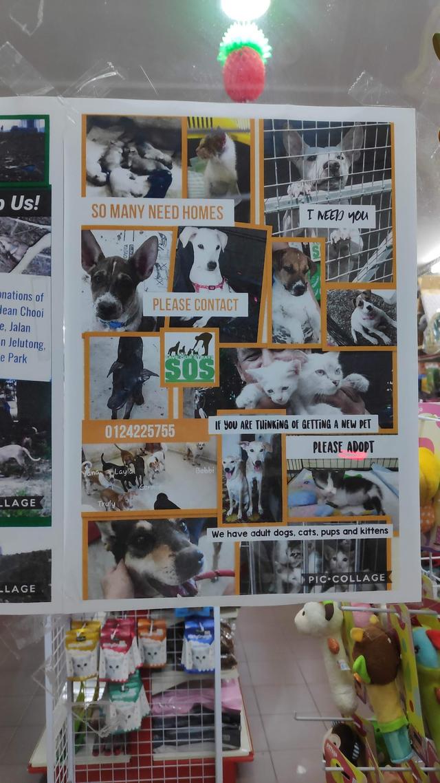 Photo of United Pet Retail - George Town, Penang, Malaysia