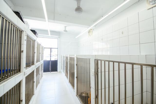 Photo of VPAC - Vets For Pets Animal Clinic Kuchai Lama - Kuala Lumpur, Kuala lumpur, Malaysia