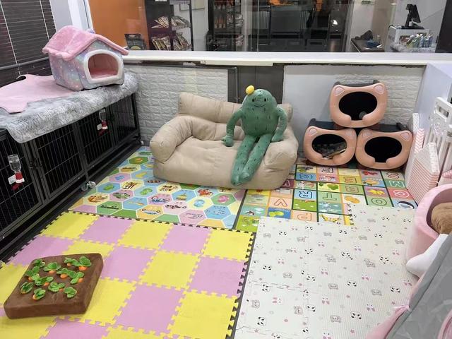 Photo of WOHOO PETS GROOMING CENTRE - George Town, Penang, Malaysia