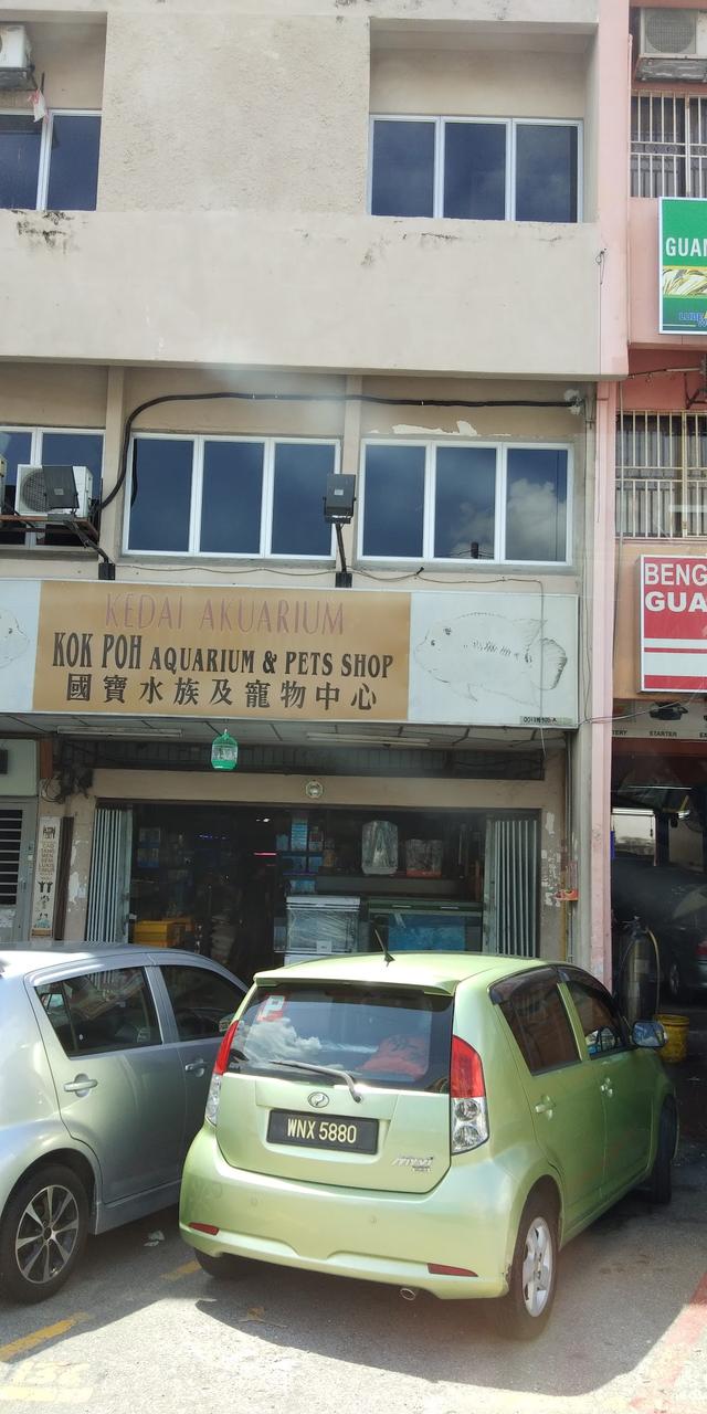 Photo of 国宝水族及宠物中心 Kok Poh Aquarium & Pets Shop - Kuala Lumpur, Kuala lumpur, Malaysia