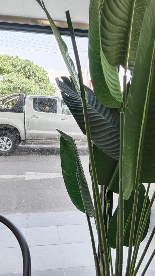 Photo of ThirsTea malaysia - Kota Kinabalu, Sabah, Malaysia