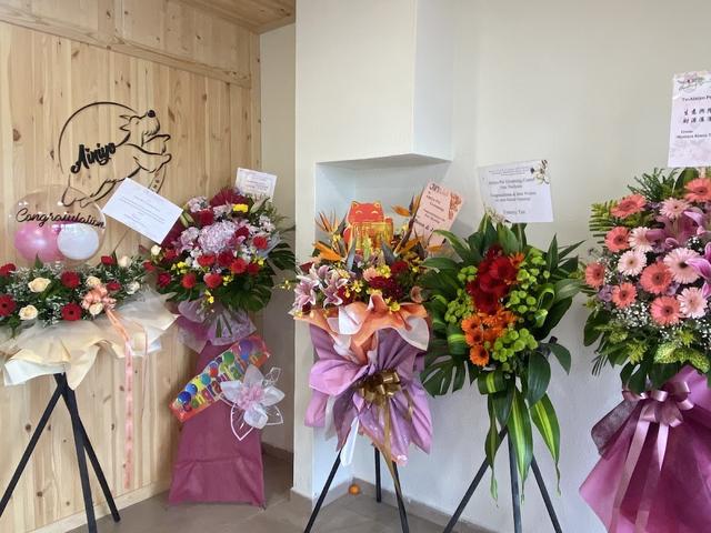 Photo of Ainiyo Pet Grooming Centre - Bukit Mertajam, Penang, Malaysia