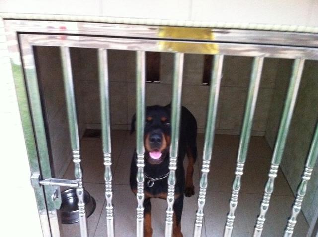 Photo of Bukit Tinggi Animal Clinic Sdn.Bhd - Klang, Selangor, Malaysia