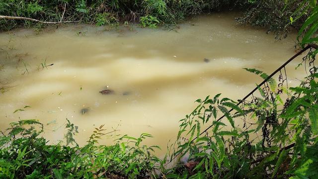 Photo of Bukit Wawasan Puchong Trekking - Puchong, Selangor, Malaysia