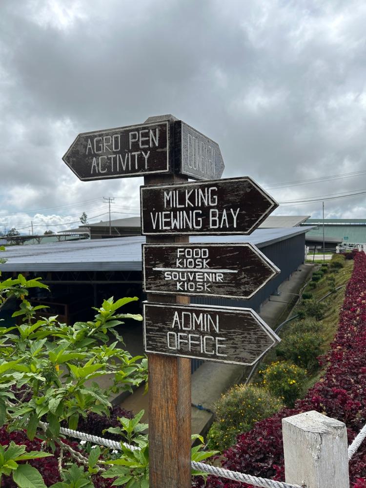 Photo of Ladang Tenusu Desa Cattle - Kundasang, Sabah, Malaysia