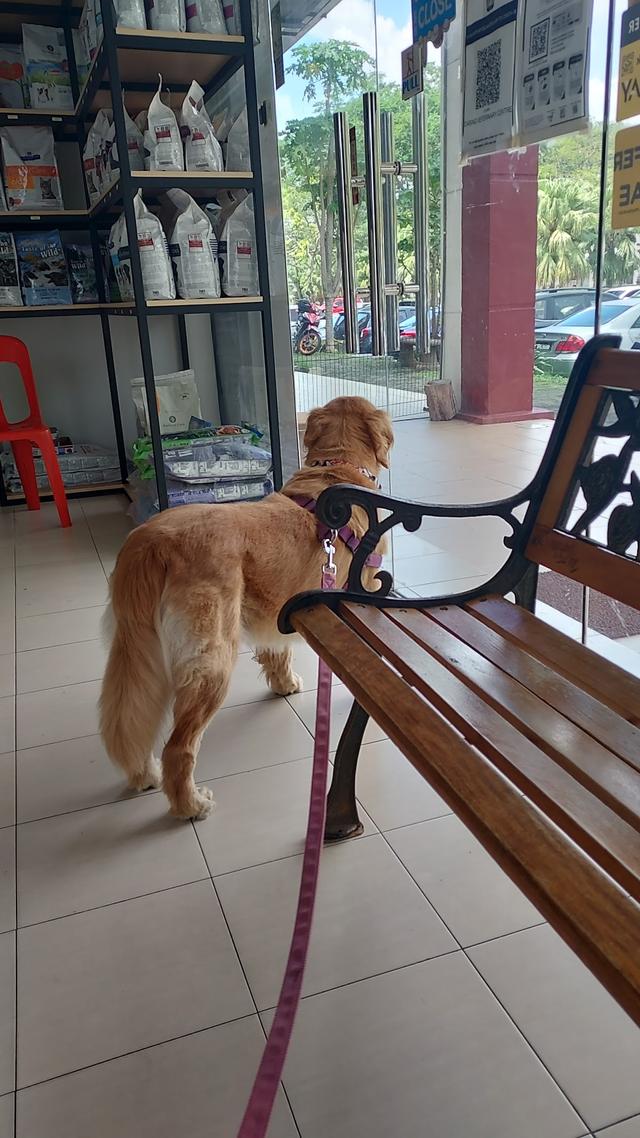 Photo of Caring Veterinary Centre - Shah Alam, Selangor, Malaysia