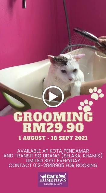 Photo of Cats Hometown (Sg Udang) - Klang, Selangor, Malaysia