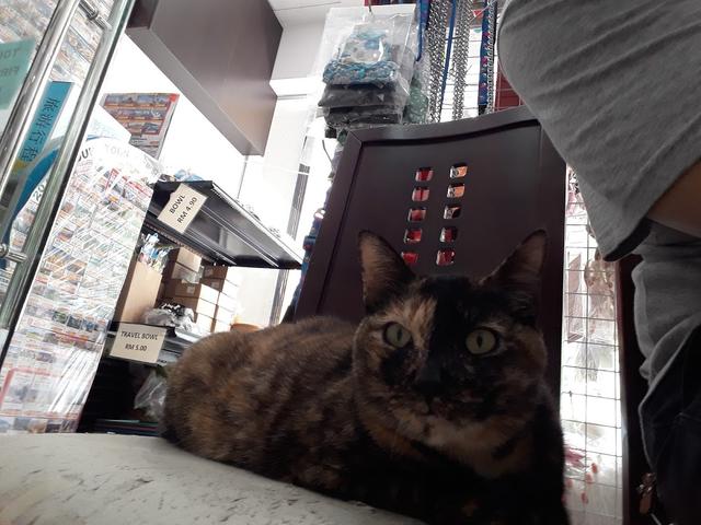 Photo of Citivet Animal Clinic - Puchong, Selangor, Malaysia