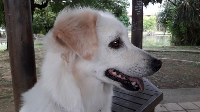 Photo of Claws Veterinary Clinic - Klang, Selangor, Malaysia