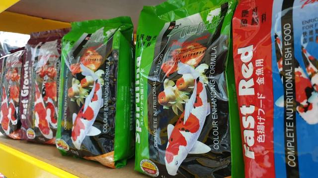 Photo of Cuties Pet Shop - Kuala Lumpur, Kuala lumpur, Malaysia