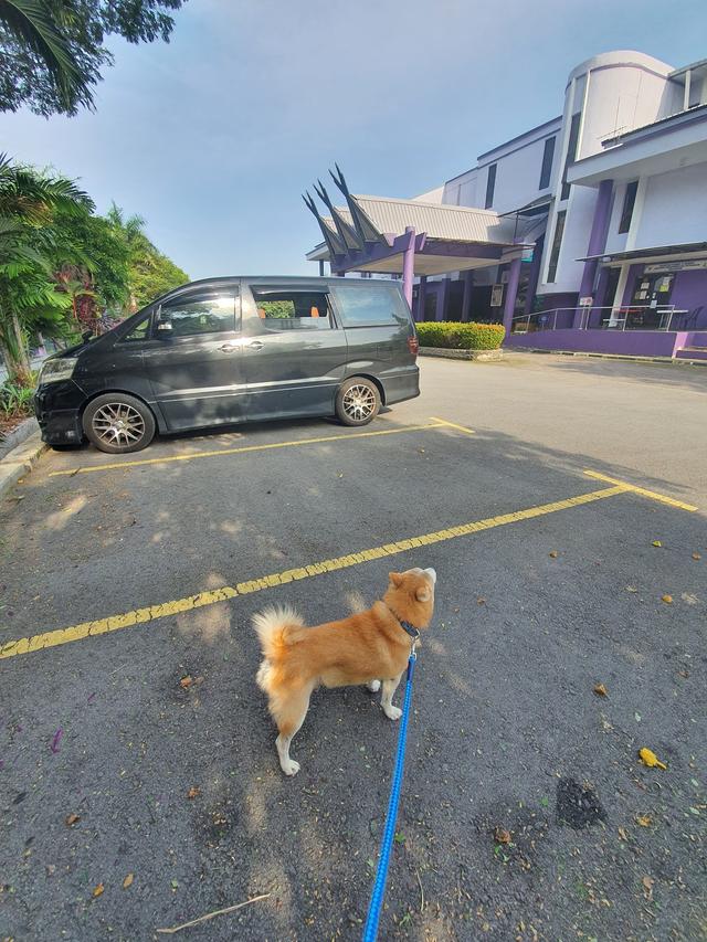 Photo of Department of Veterinary Services selangor - Shah Alam, Selangor, Malaysia