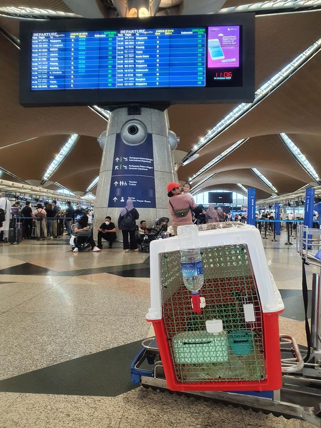 Photo of Department of Veterinary Services, Selangor State - Shah Alam, Selangor, Malaysia